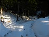 Pri Jalnu / Fusine Laghi - Kopa / Monte Coppa